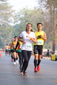 BIB: 27668, 27867
                            <button type="button" onclick="openModal(10355902)" class="btn btn-primary btn-sm float-right btn-popup" data-toggle="modal" data-target=".modal-high-quality">
                        <i class="fas fa-shopping-cart"></i> Add to Cart
                    </button>
                                            <button type="button" onclick="isThisMe(10355902, true)" class="btn btn-success btn-sm float-right btn-popup btn-isme hidden" data-toggle="tooltip" data-placement="bottom" title="นี่คือรูปของคุณใช่ไหม คลิกที่นี่เพื่อเอาเข้าอัลบั้ม">
                        <i class="fas fa-plus"></i> Add to album
                    </button>
                    <button type="button" onclick="isThisMe(10355902, false)" class="btn btn-warning btn-sm float-right btn-popup btn-isnotme hidden">
                        <i class="fas fa-ban"></i> Remove from album
                    </button>